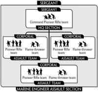 Marine Engineer Assault Section