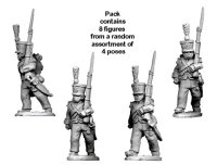 Napoleonic French: Flank Company