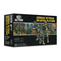 German Veteran Infantry Platoon