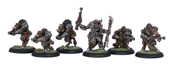 Minions: Farrow Brigands Unit