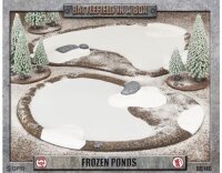 Frozen Ponds (Winter)