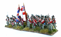 Waterloo British Infantry Centre Companies